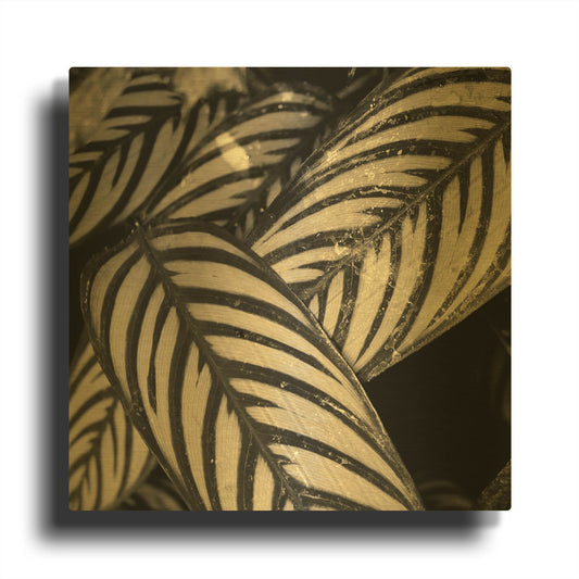 'Varigated Leaves No. 2' By Gary Horsfall Gold Metal Wall Art