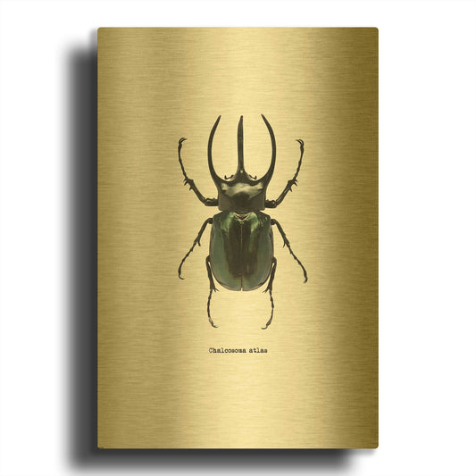 'Beetle Black' By GraphINC Gold Metal Wall Art