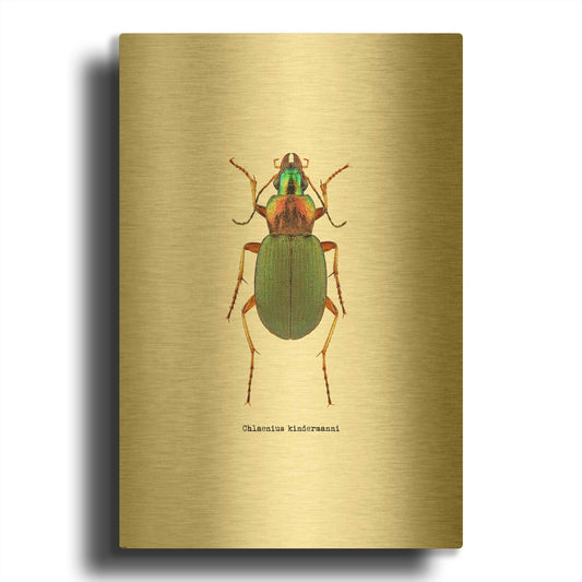 'Beetle Green' By GraphINC Gold Metal Wall Art