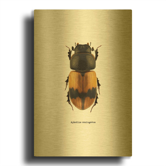 'Beetle Orange' By GraphINC Gold Metal Wall Art