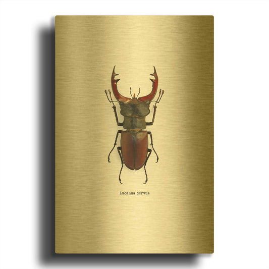 'Beetle Red' By GraphINC Gold Metal Wall Art