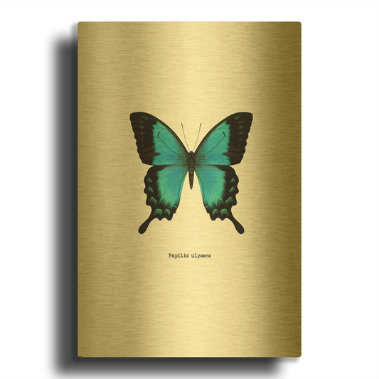 'Blue Butterfly' By GraphINC Gold Metal Wall Art