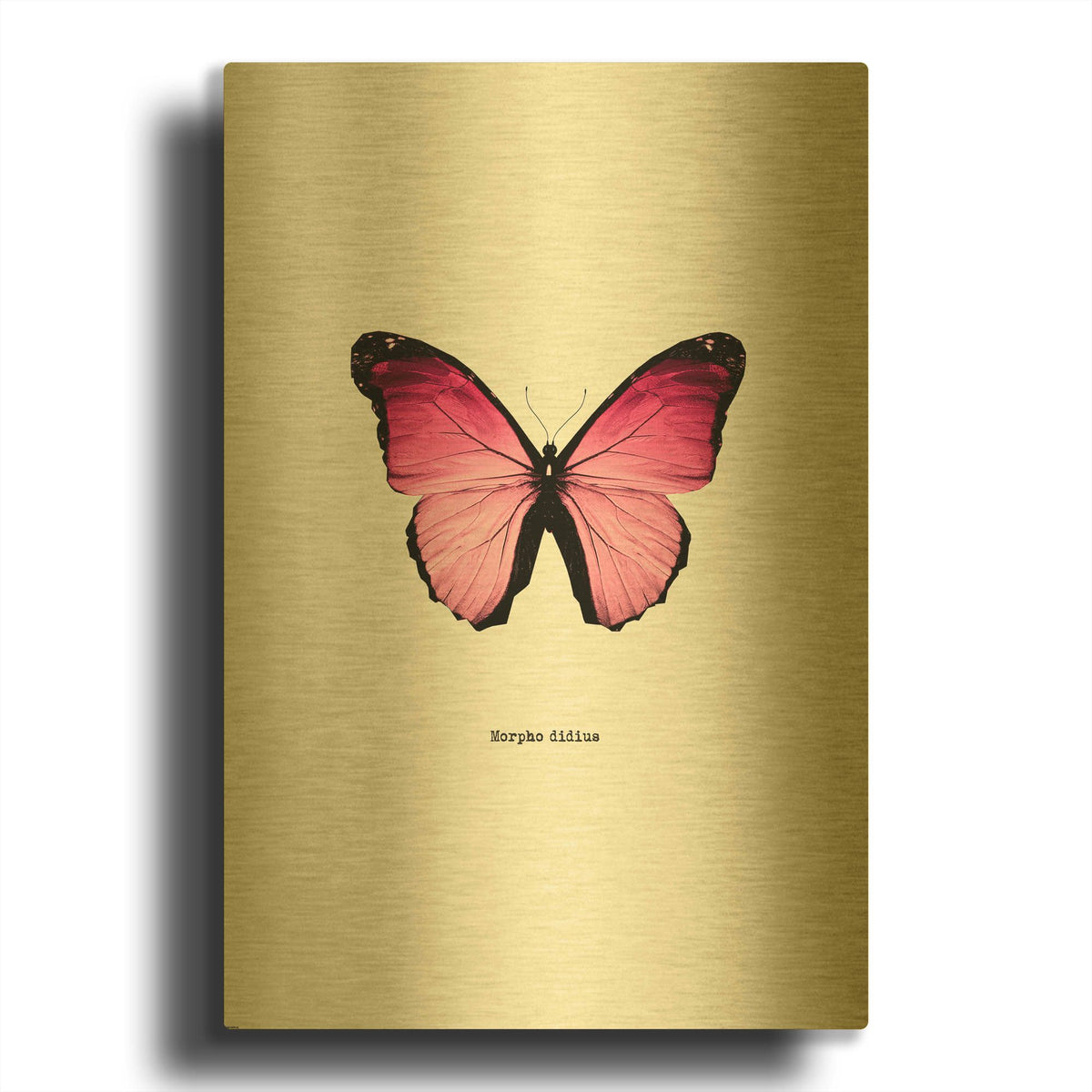 'Pink Butterfly' By GraphINC Gold Metal Wall Art