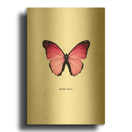 'Pink Butterfly' By GraphINC Gold Metal Wall Art
