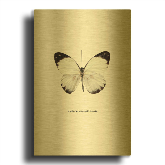 'White Butterfly' By GraphINC Gold Metal Wall Art