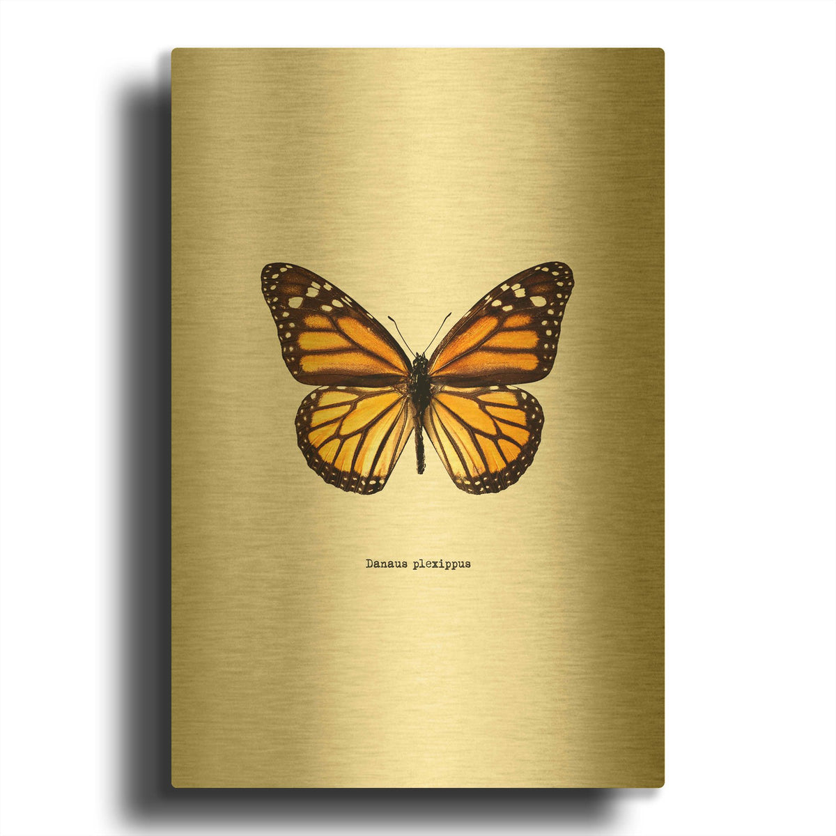 'Yellow Butterfly' By GraphINC Gold Metal Wall Art