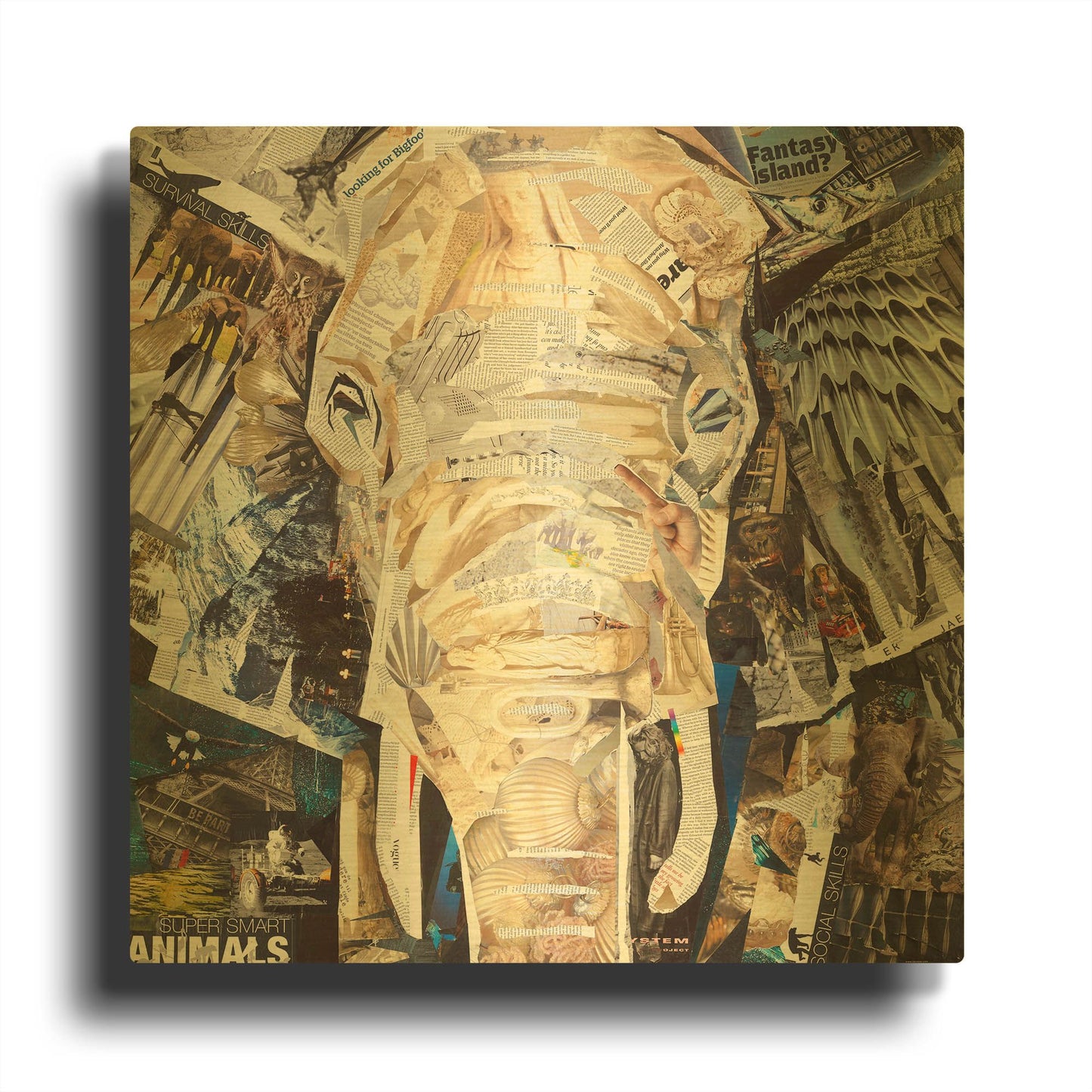 'Elephants Gaze' By Grey Gold Metal Wall Art