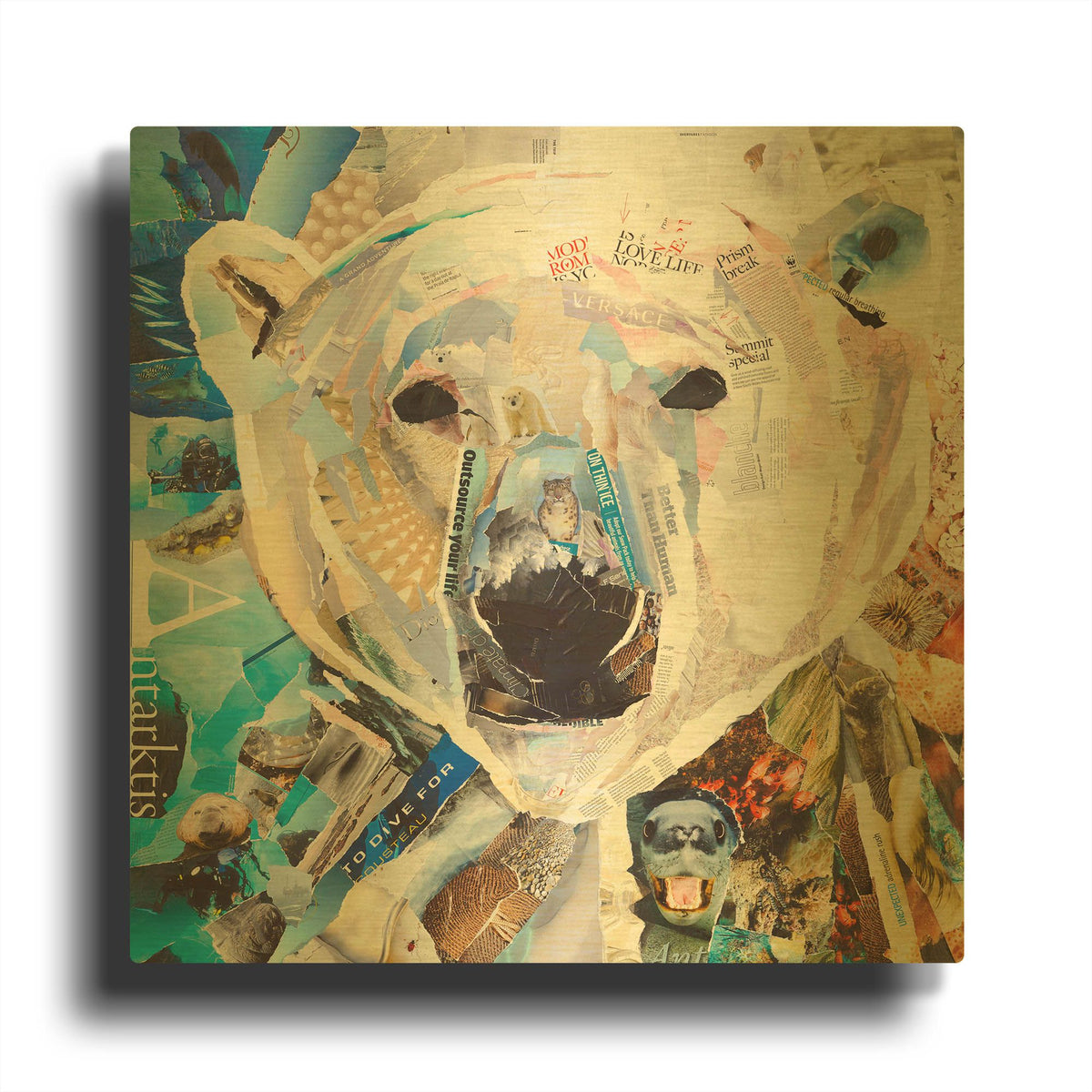 'Polar Bear' By Grey Gold Metal Wall Art