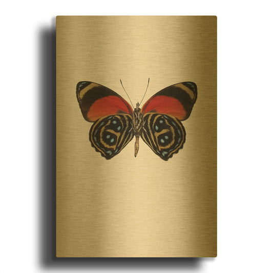 'Agrias Amydon 1' By Incado Gold Metal Wall Art