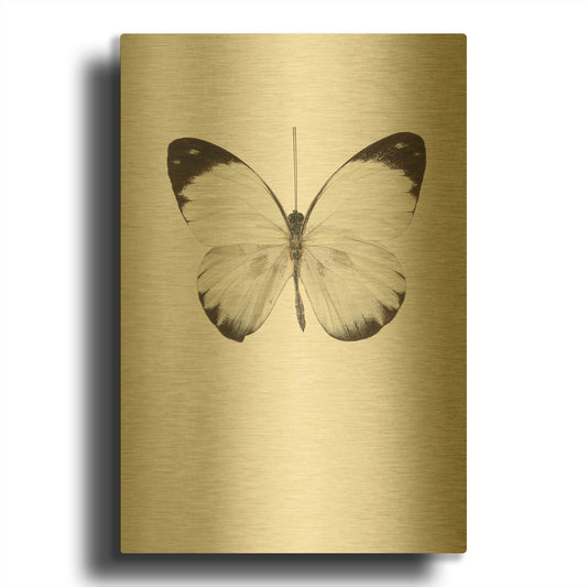'Agrias Amydon 3' By Incado Gold Metal Wall Art