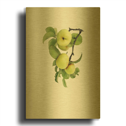 'Apple tree I' By Incado Gold Metal Wall Art
