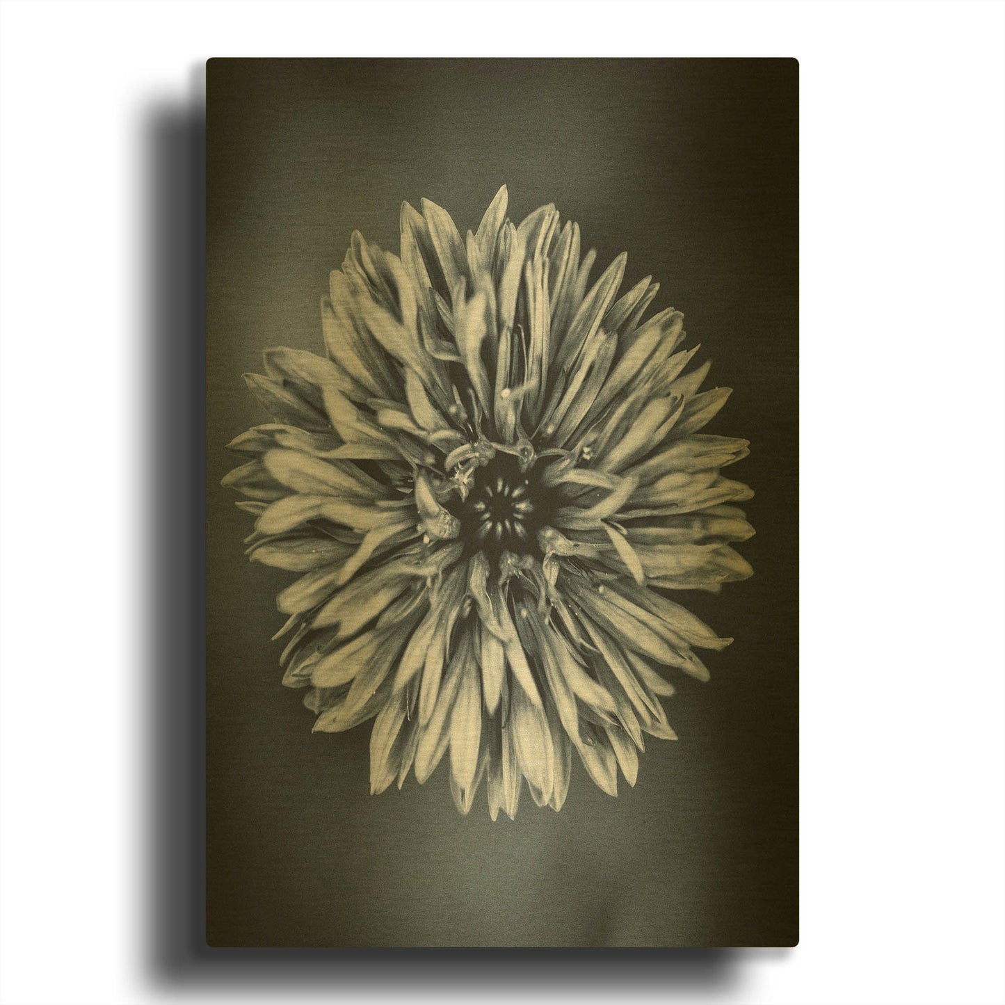 'Autumn I' By Incado Gold Metal Wall Art