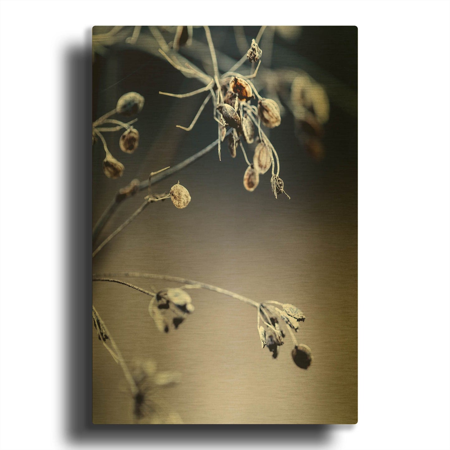 'Autumn III' By Incado Gold Metal Wall Art