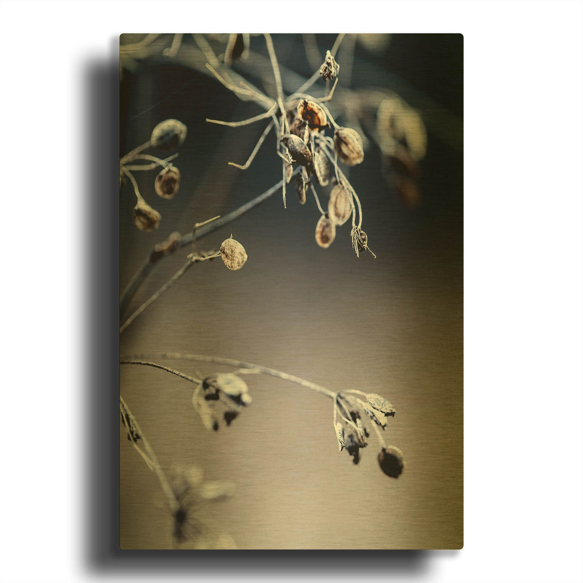 'Autumn III' By Incado Gold Metal Wall Art
