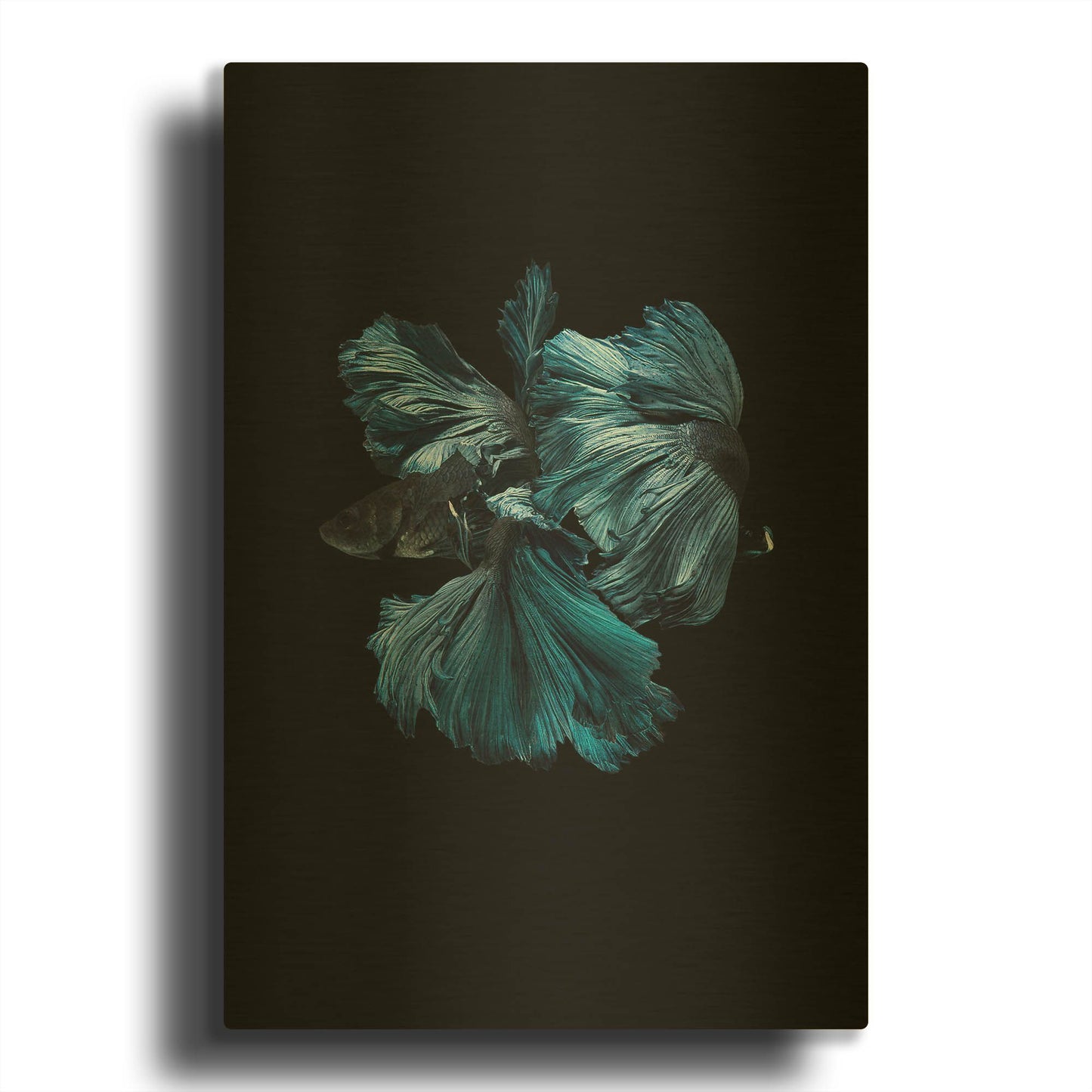 'Blue Betta' By Incado Gold Metal Wall Art