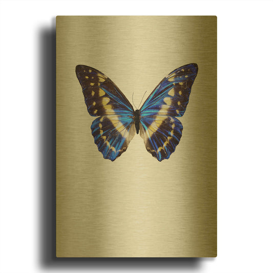 'Blue Butterfly' By Incado Gold Metal Wall Art
