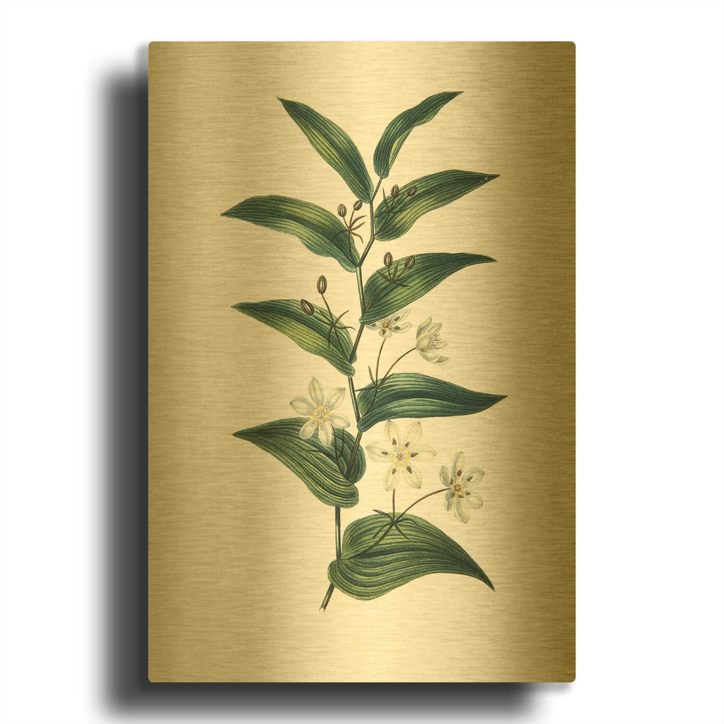 'Botanica I' By Incado Gold Metal Wall Art