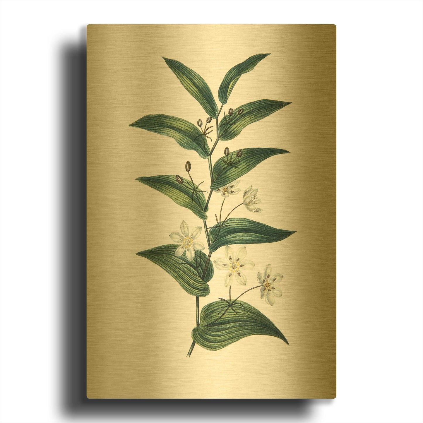 'Botanica I' By Incado Gold Metal Wall Art