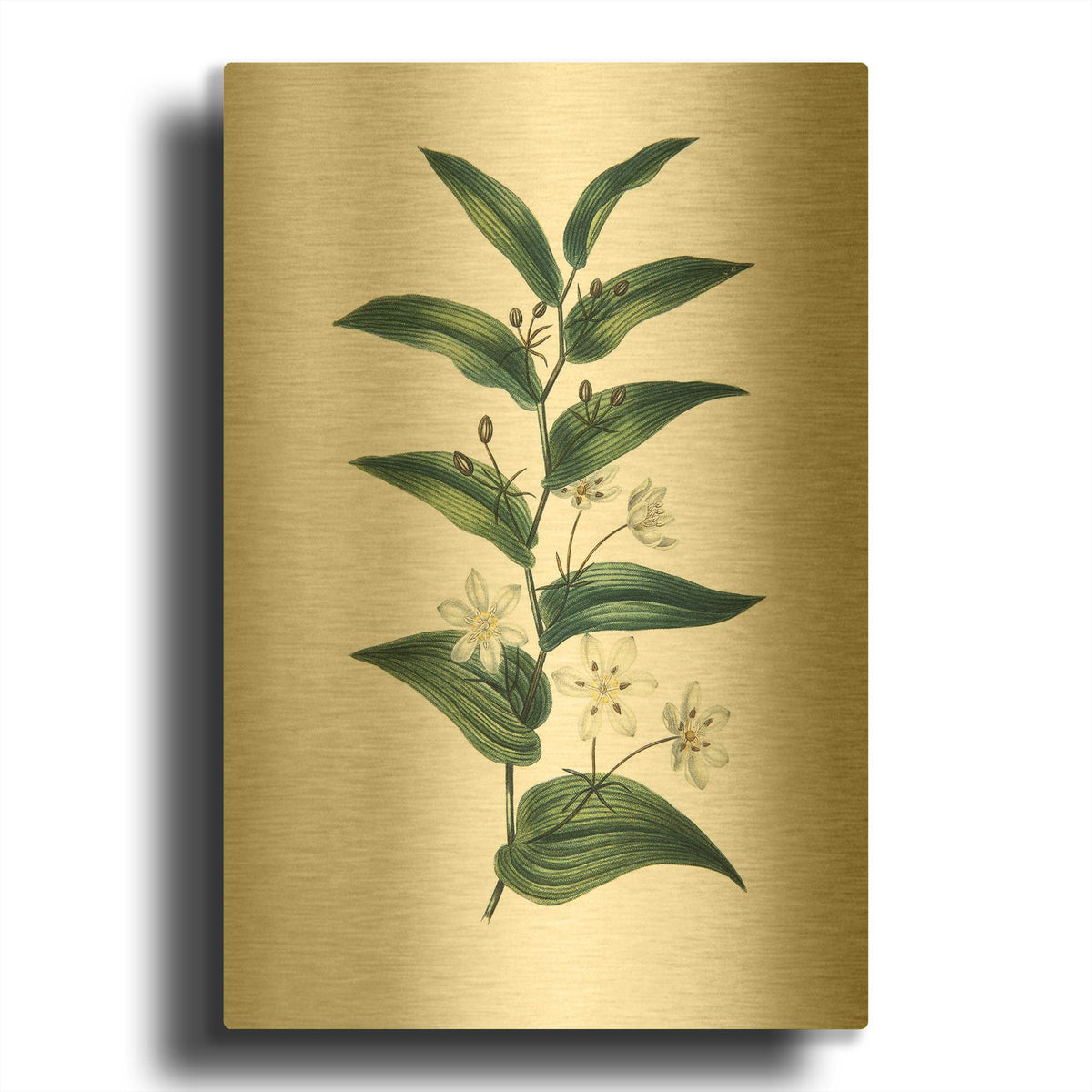 'Botanica I' By Incado Gold Metal Wall Art
