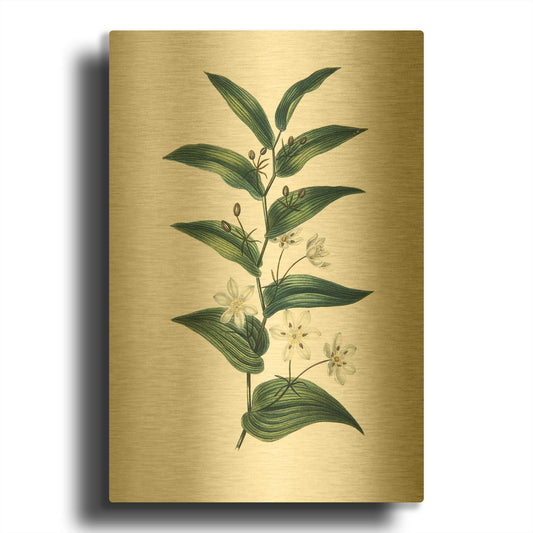 'Botanica I' By Incado Gold Metal Wall Art