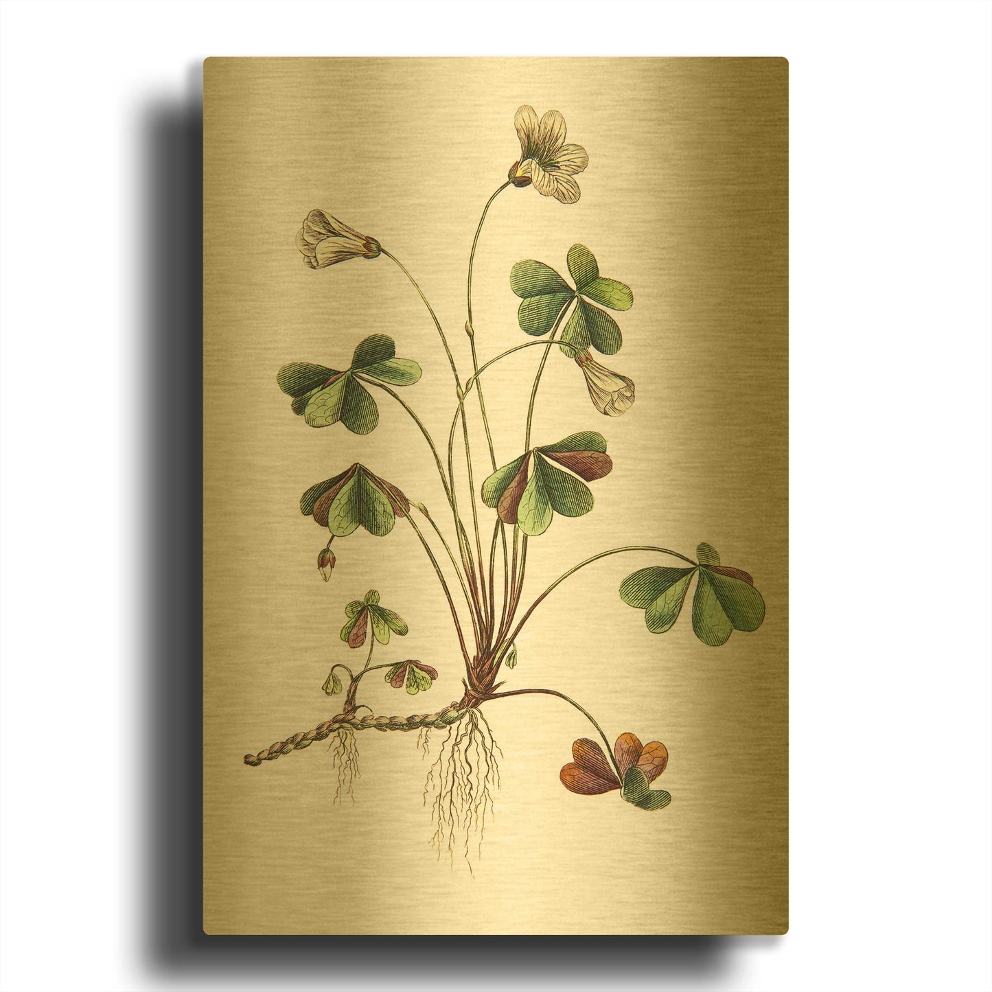 'Botanica II' By Incado Gold Metal Wall Art