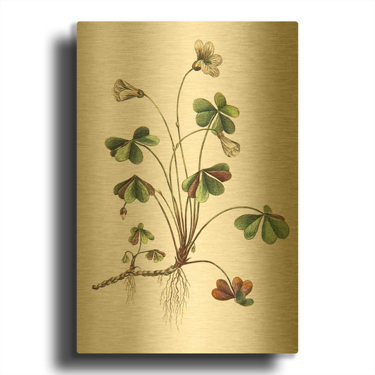 'Botanica II' By Incado Gold Metal Wall Art