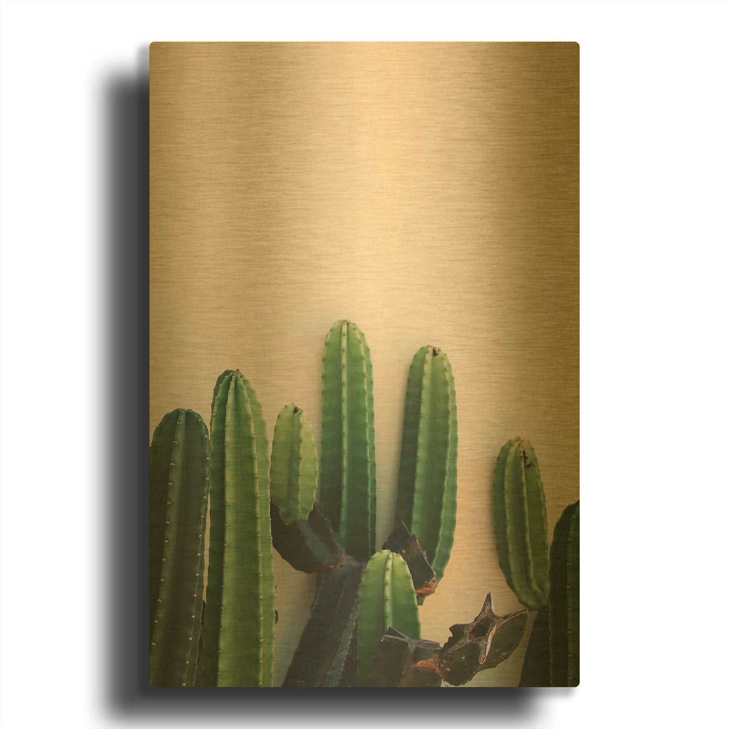 'Cactus on Pink' By Incado Gold Metal Wall Art