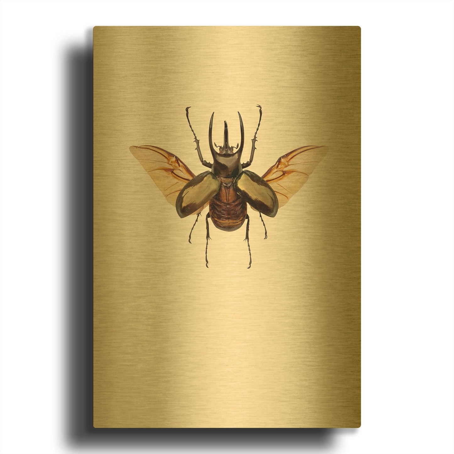 'Chalcosoma atlas' By Incado Gold Metal Wall Art