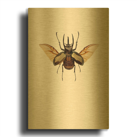 'Chalcosoma atlas' By Incado Gold Metal Wall Art
