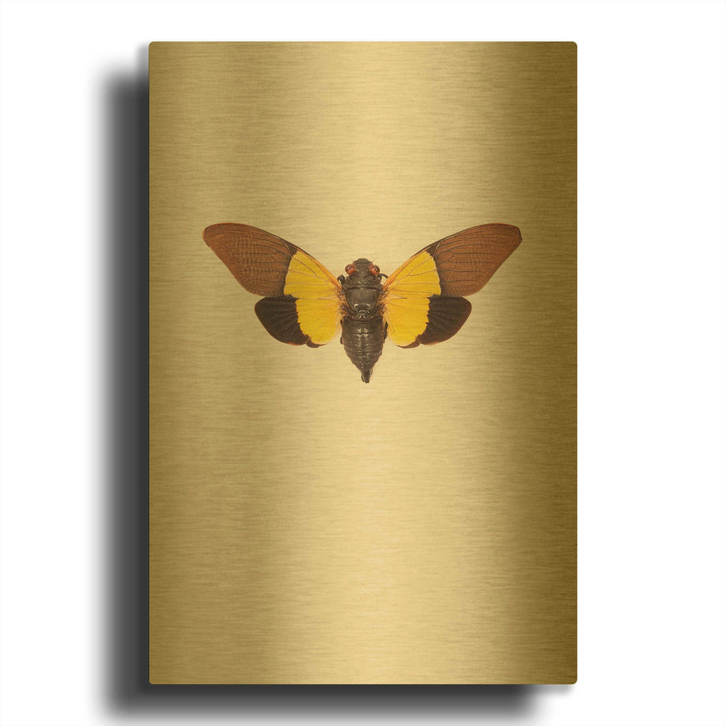 'Cicada' By Incado Gold Metal Wall Art