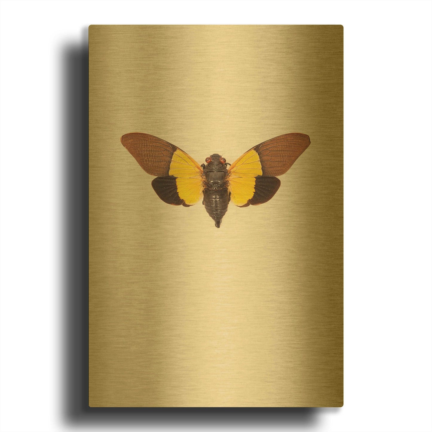 'Cicada' By Incado Gold Metal Wall Art