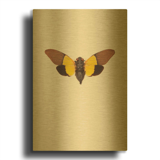 'Cicada' By Incado Gold Metal Wall Art