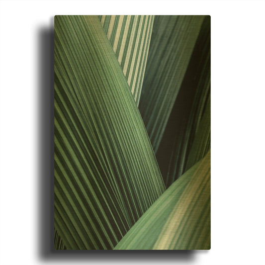 'Close Up I' By Incado Gold Metal Wall Art