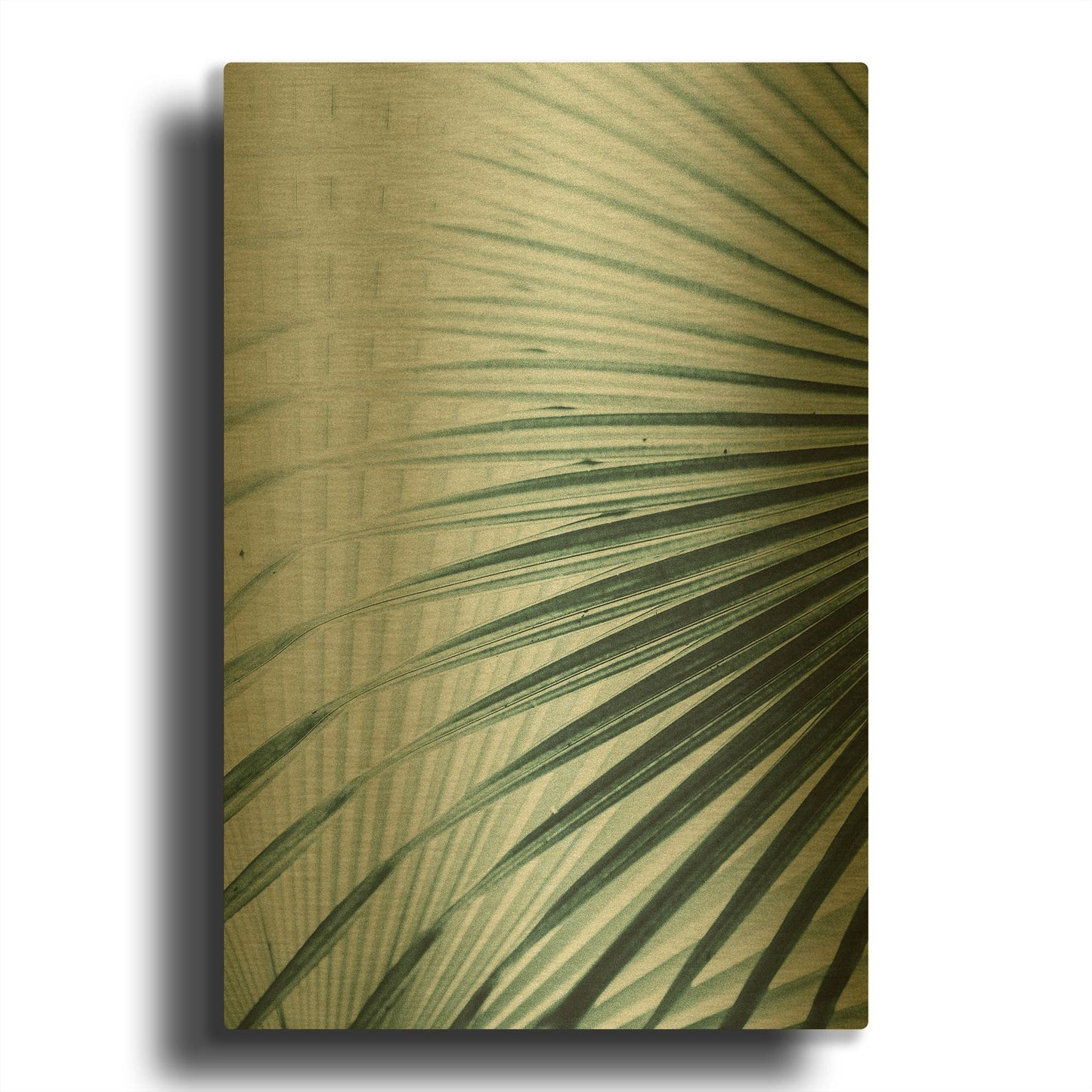 'Close Up II' By Incado Gold Metal Wall Art