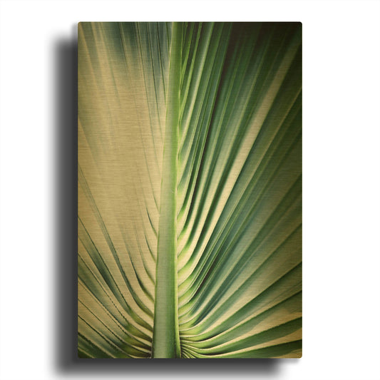 'Close Up III' By Incado Gold Metal Wall Art