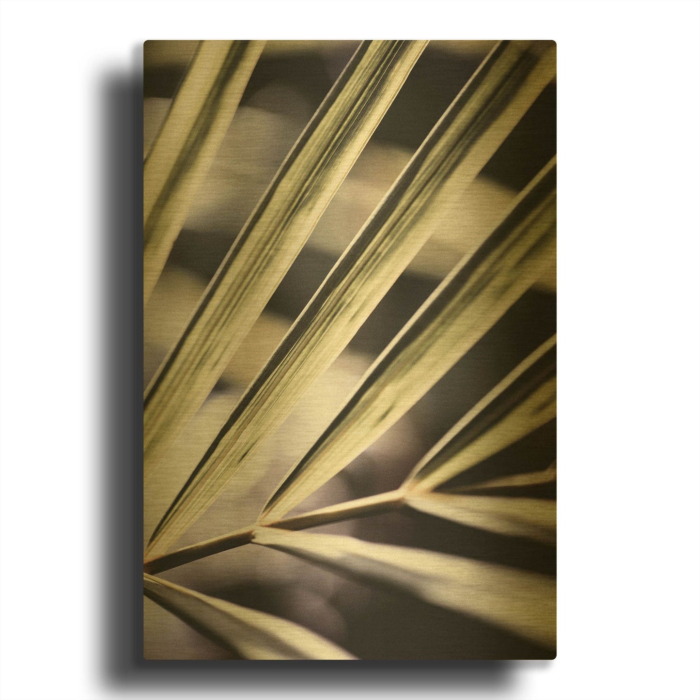 'Close Up IX' By Incado Gold Metal Wall Art