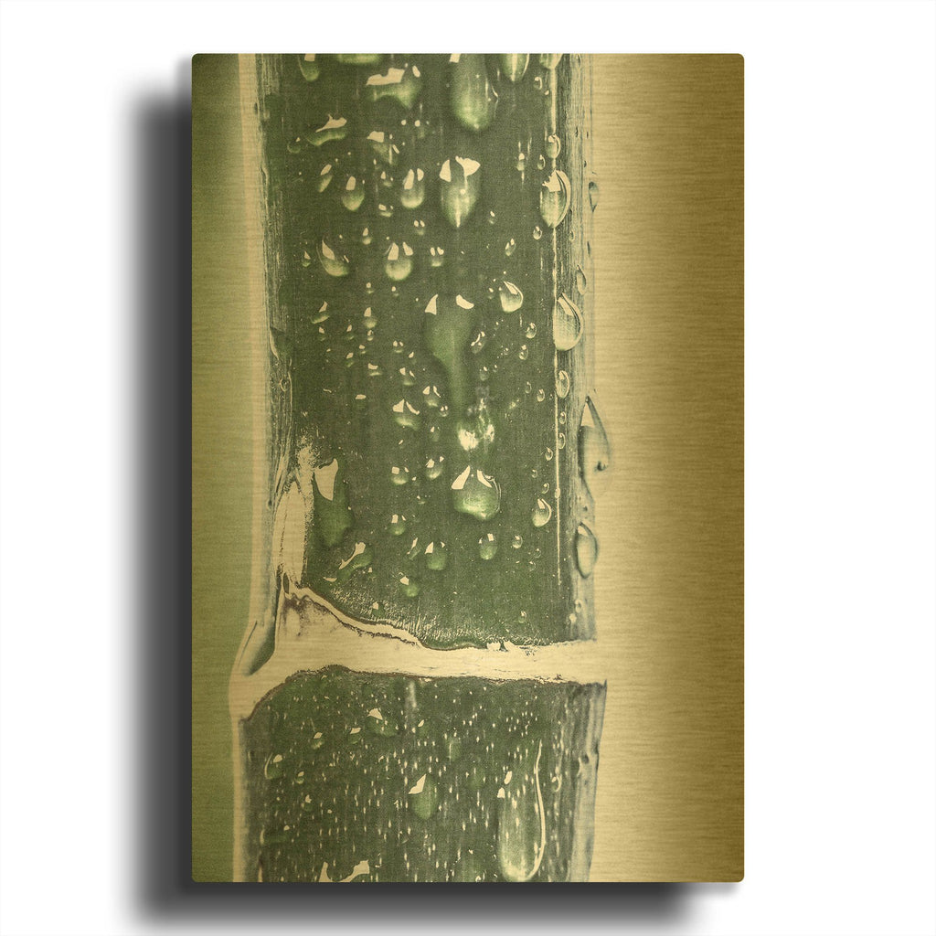 'Close Up V' By Incado Gold Metal Wall Art
