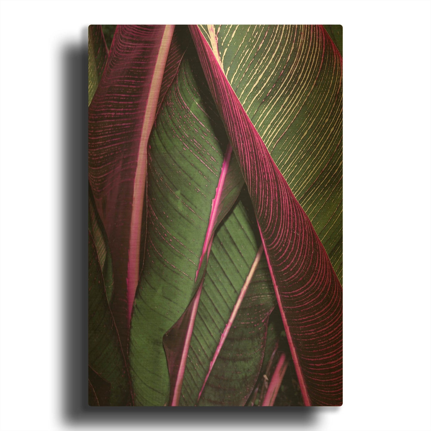 'Close Up VII' By Incado Gold Metal Wall Art