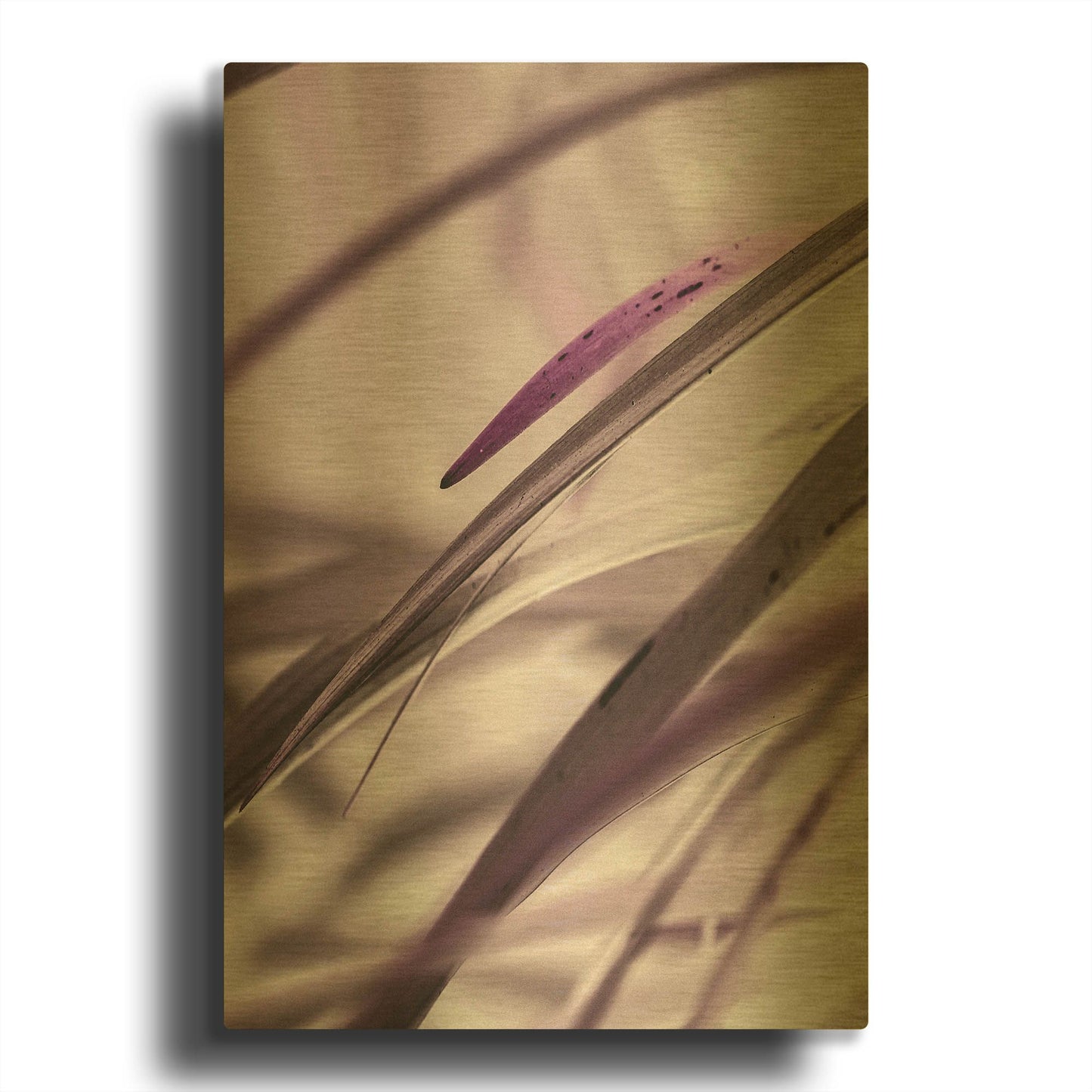 'Close Up XI' By Incado Gold Metal Wall Art