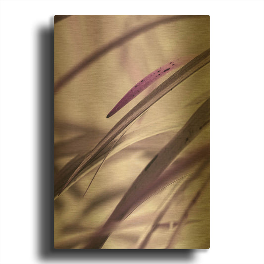 'Close Up XI' By Incado Gold Metal Wall Art