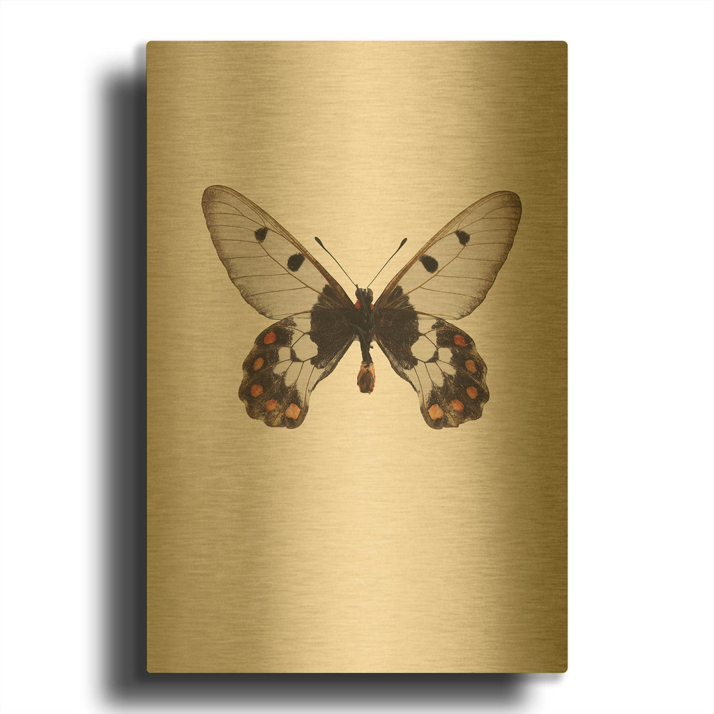 'Cressida Cressida' By Incado Gold Metal Wall Art
