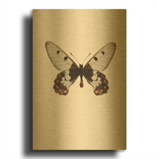 'Cressida Cressida' By Incado Gold Metal Wall Art