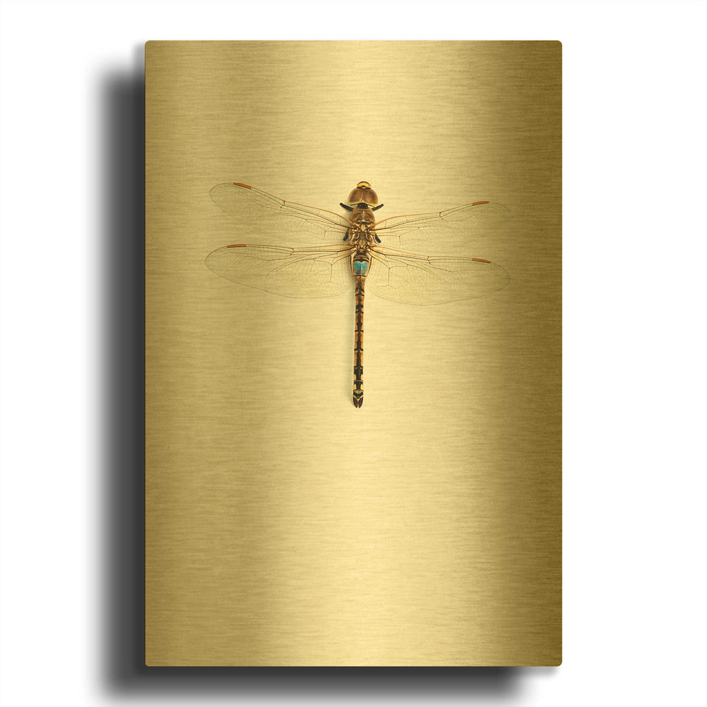 'Dragonfly I' By Incado Gold Metal Wall Art