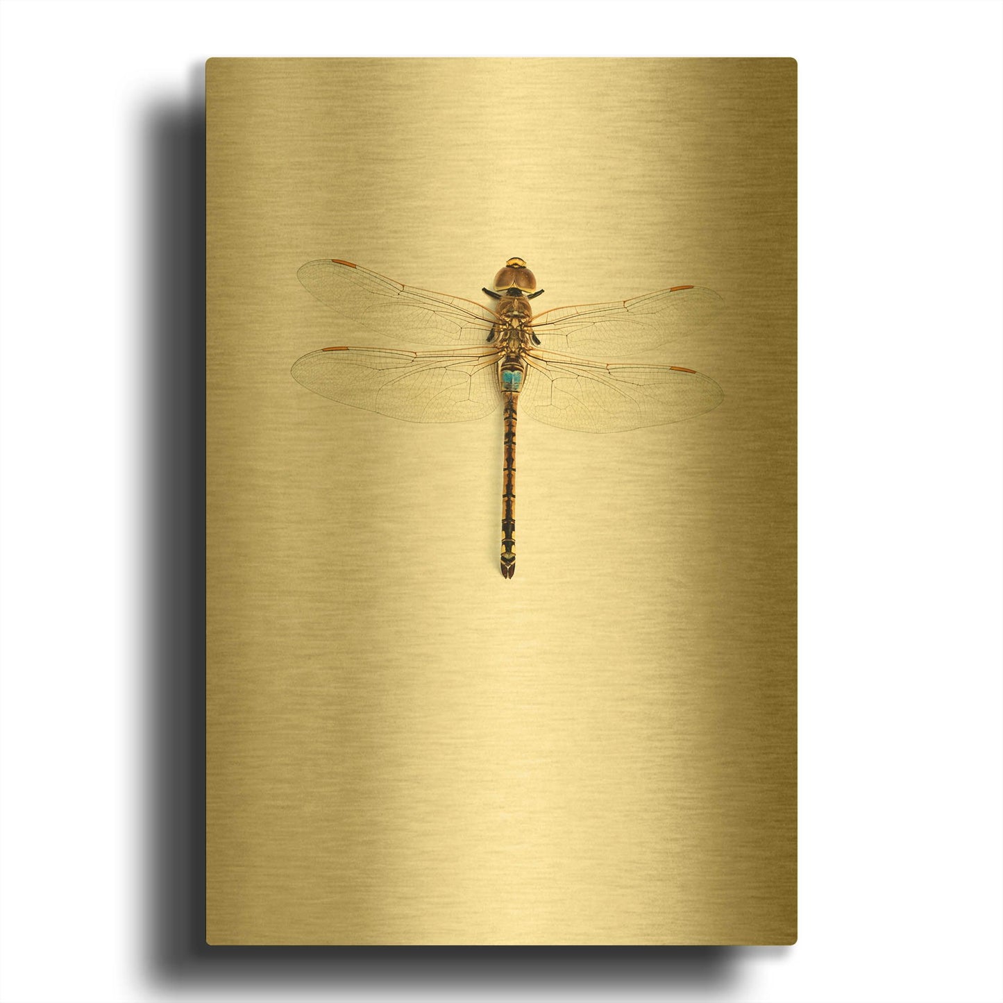 'Dragonfly I' By Incado Gold Metal Wall Art