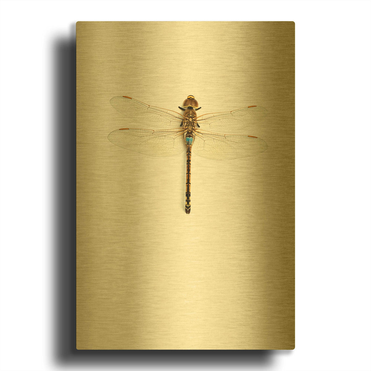 'Dragonfly I' By Incado Gold Metal Wall Art