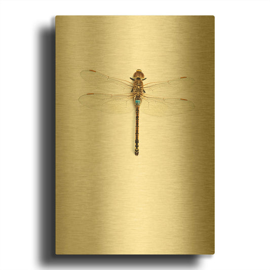 'Dragonfly I' By Incado Gold Metal Wall Art