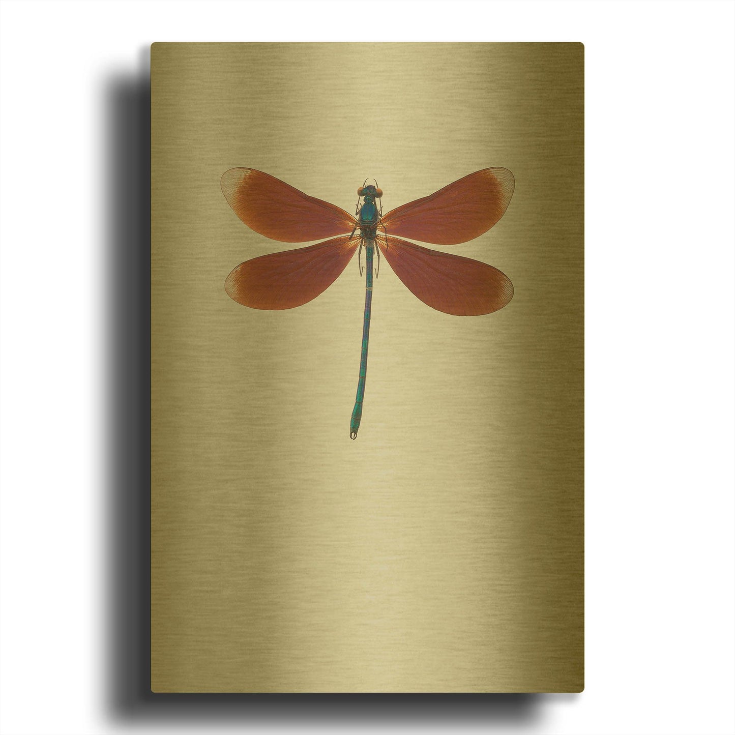 'Dragonfly II' By Incado Gold Metal Wall Art