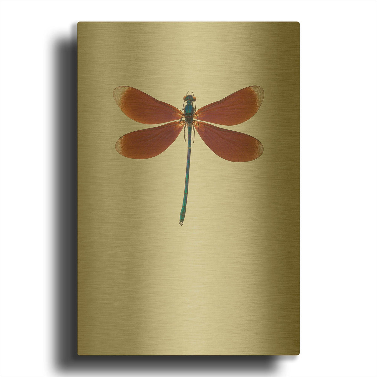 'Dragonfly II' By Incado Gold Metal Wall Art