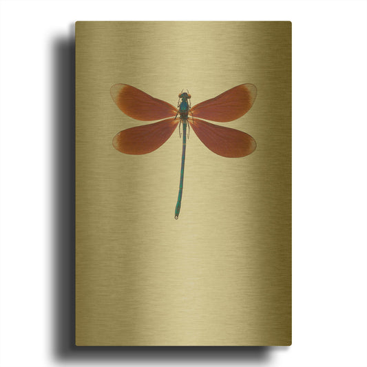 'Dragonfly II' By Incado Gold Metal Wall Art