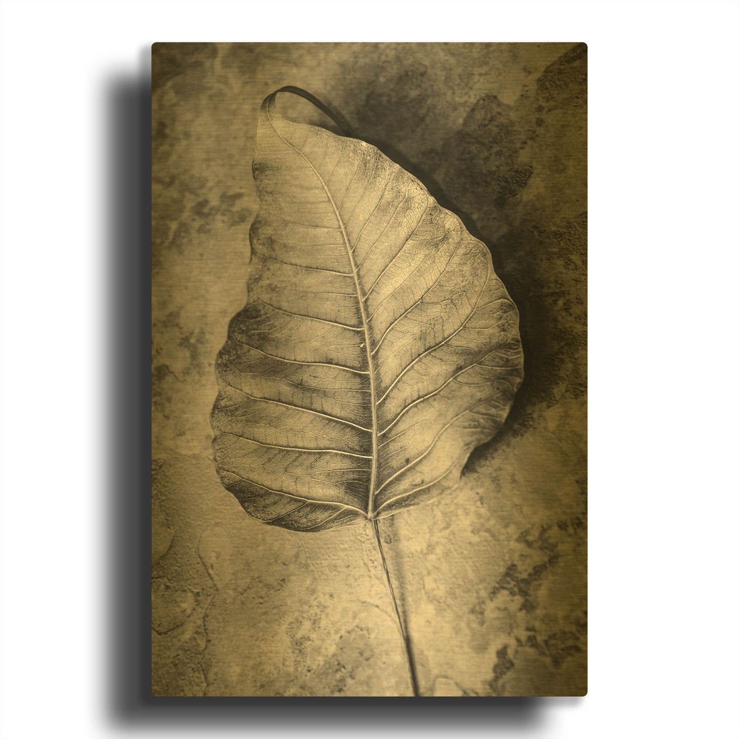 'Dried Leaf' By Incado Gold Metal Wall Art